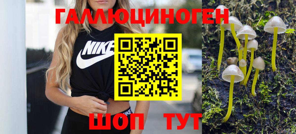 Галлюциногенные грибы GOLDEN TEACHER Надым