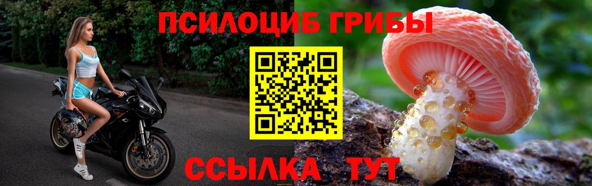 Галлюциногенные грибы ЛСД  Вход с VPN  Надым  где купить наркоту  Галлюциногенные грибы MAGIC MUSHROOMS 